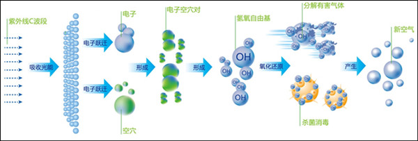 有機廢氣處理合作廠(chǎng)家工藝流程圖
